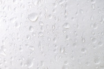 FR2024-255.jpg