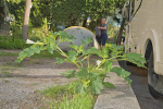 FR2024-278.jpg FR2024-278.jpg
