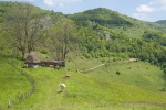 RO2016-112.jpg